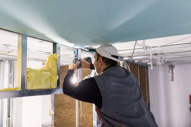 Best Cellulose Insulation in Trinity, NC
