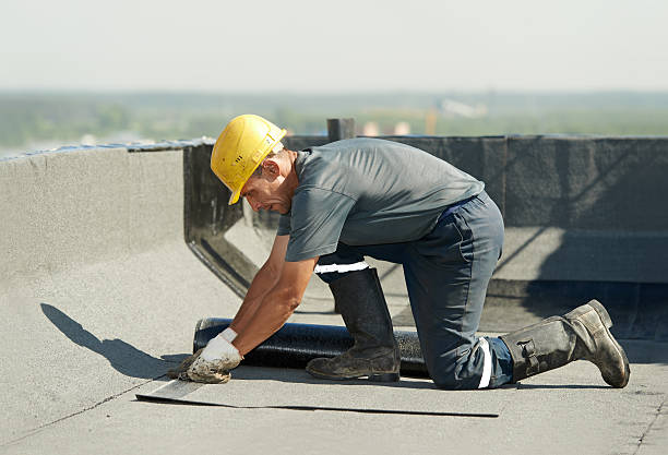 Best Residential Insulation in Trinity, NC